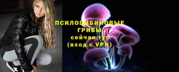 ГАЛЛЮЦИНОГЕННЫЕ ГРИБЫ Белоозёрский