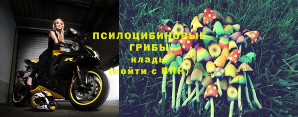 бутират Белокуриха