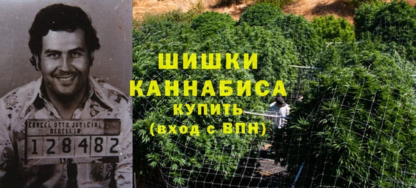 ГАЛЛЮЦИНОГЕННЫЕ ГРИБЫ Белоозёрский